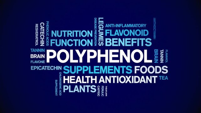 Polyphenol animated word cloud-animation tag kinetic typography seamless loop.