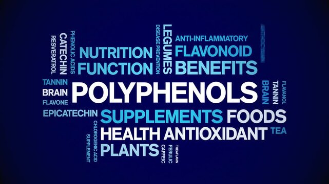 Polyphenols animated word cloud-animation tag kinetic typography seamless loop.