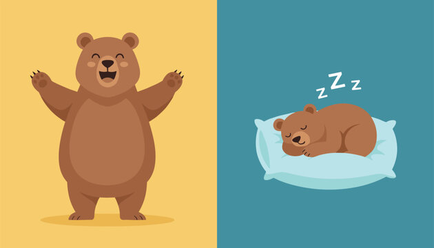 Cute brown bear characters showing a cheerful standing bear and a peacefully sleeping bear on a pillow.