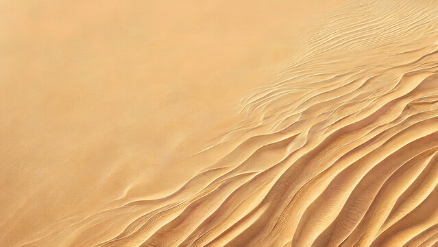 Sand dunes display intricate golden ripples illuminated by soft overhead sunlight to create a serene desert landscape that provides a minimalist backdrop for creative design projects and copy space.