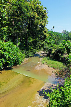View of river on a sunny day next to the forest. 