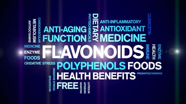 Flavonoids animated word cloud-animation tag kinetic typography seamless loop.