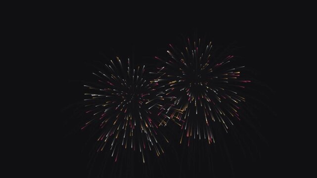 Colorful fireworks burst in dark night sky celebrating holiday.