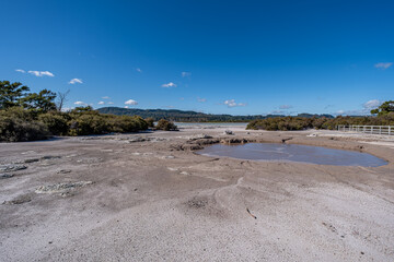 Sulphur Point, Lake Rotorua, Rotorua, Neuseeland, Leptospermum scoparium, Geothermaler Schlammtopf mit Holzsteg und strahlendem Blendenstern am Sommertag © stylefoto24