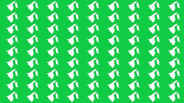 Brunei map pattern scrolling perfect 15 second loop with green background