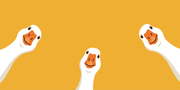 Cute white geese peeking background vector illustration with minimalist yellow copy space for banner poster wallpaper card design
