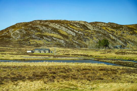 An atmospheric photograph of a solitary stone cottage in a vast, golden-yellow moorland landscape, set against a massive, rocky hill under a brilliant blue sky in the Scottish Highlands