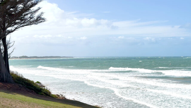 Ocean Waves Crashing on Torquay Beach Framed by a Coastal Tree