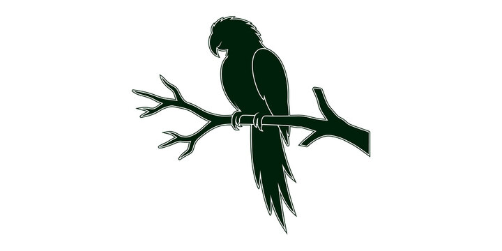 Parrot bird sitting on tree branch vector silhouette on transparent background