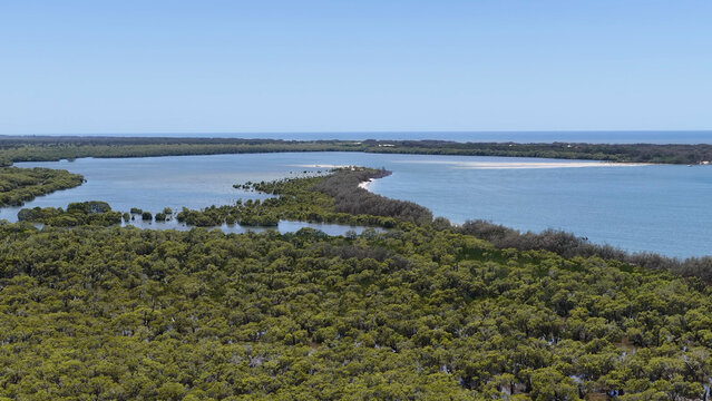 Aerial View of Mangrove Forest and Coastal Wetlands on Stradbroke Island