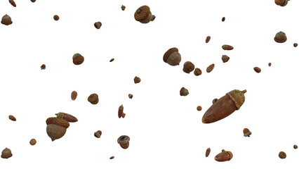 Falling Acorns Autumn Season Overlay  © boti1985
