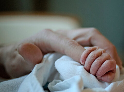 Newborn baby hand tightly grips a parent's finger