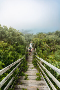 Family walking down long wooden stairs into the fog