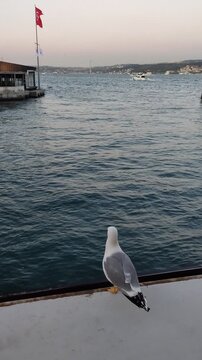ISTANBUL, TURKEY - 06 MAY 2026: A stroll through the old streets of Istanbul with a view of the Bosphorus. Beautiful narrow streets with a rich cultural heritage.