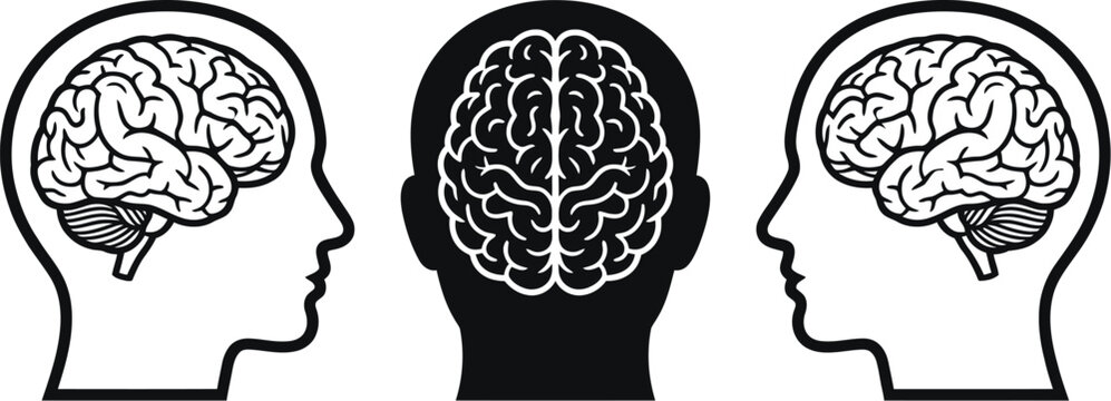 Set of human head silhouettes showing brain anatomy in profile and front view as medical diagrams