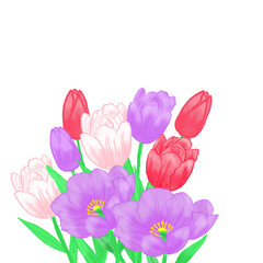 Fototapeta premium bouquet of tulips