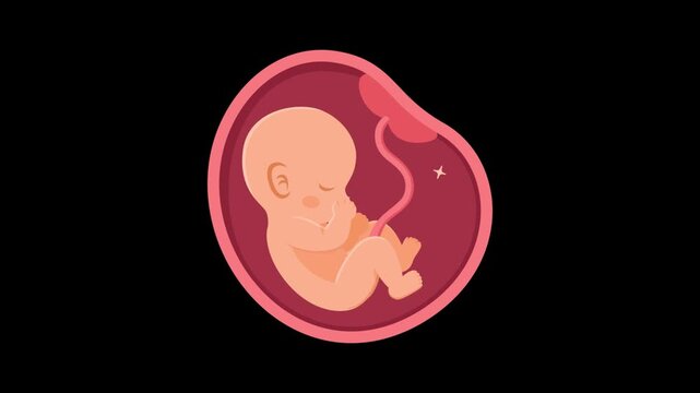 Healthy human fetus active movement inside the womb flat design