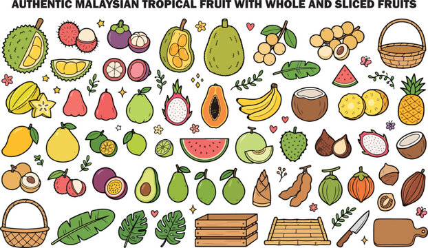 Authentic Malaysian Tropical Fruit with Whole and Sliced Fruits Collection Illustration