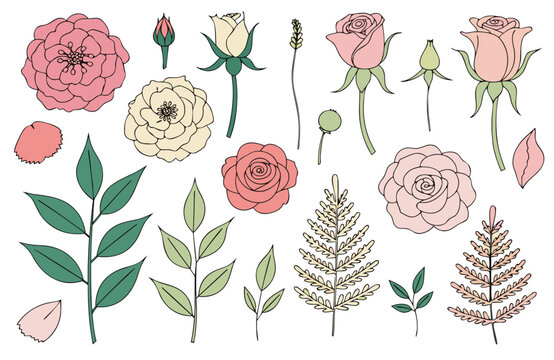 Luxury Rose Flower Vector Set &ndash; Elegant Botanical Roses Collection with Floral Elements, Leaves and Blooming Rose Illustrations