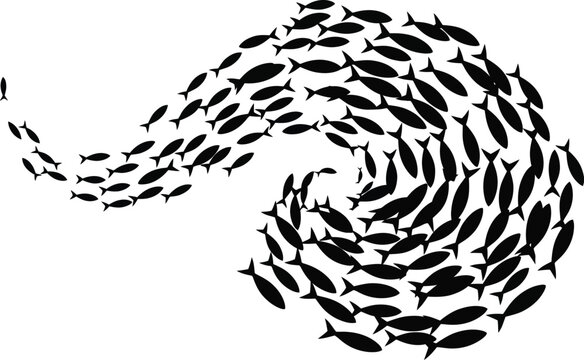 School of black fish swimming in spiral shape