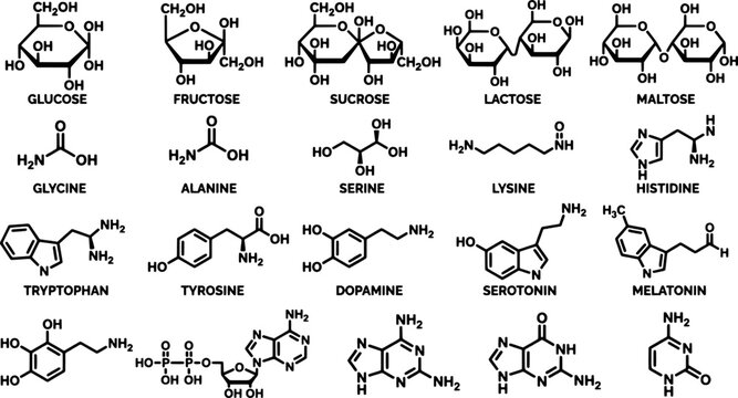 Chemical structures of sugars and amino compounds