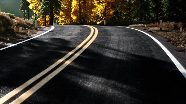 A road curves through a forest filled with trees. Yellow and orange leaves cover the trees as sunlight filters through. The road has clear markings showing the path ahead.