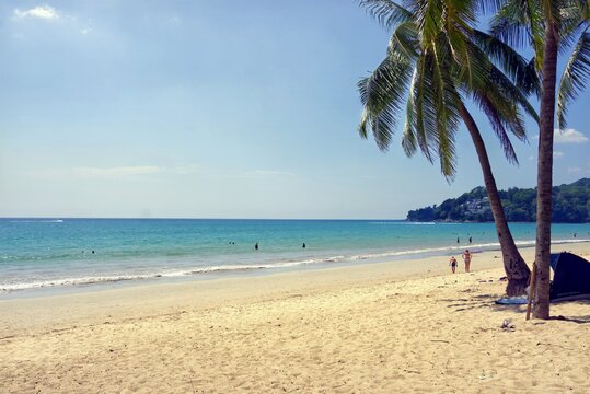 Tropical palm trees framing the golden sand and calm ocean waters at Kamala Beach, Phuket.