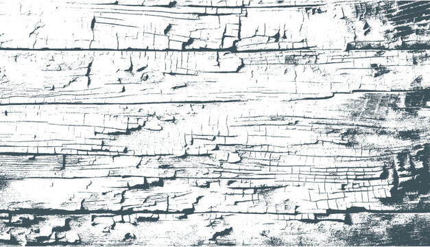 wood grain texture with a transparent background