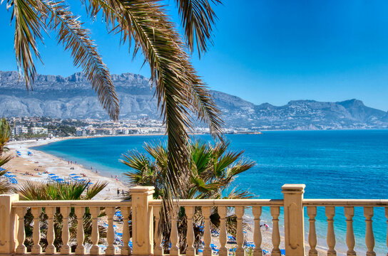 Panoramic view of Albir beach with palm trees and mountains, Alicante, Spain.