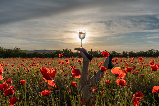 Surreal fashion legs balancing wine glass in Papaver rhoeas field at sunset
