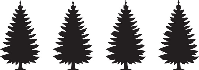 Four coniferous evergreen trees in a row against a white background © MST MEHENAJ