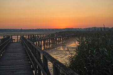 Obraz premium Golden Sunrise over Federsee Wetlands in Southern Germany