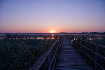 Fototapeta premium Golden Sunrise over Federsee Wetlands in Southern Germany