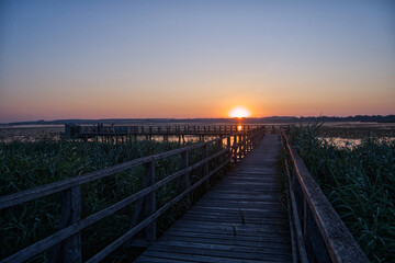 Obraz premium Golden Sunrise over Federsee Wetlands in Southern Germany