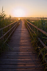 Obraz premium Golden Sunrise over Federsee Wetlands in Southern Germany