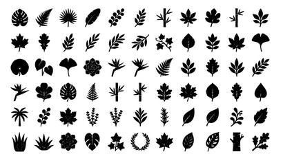 Fototapeta premium Leaf Silhouette Icon Vector Set with Various Plant and Foliage Shapes Black Botanical Illustration Collection