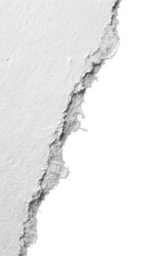 A single piece of white torn paper edge with a rough texture and a ripped shredded border  transparent background.