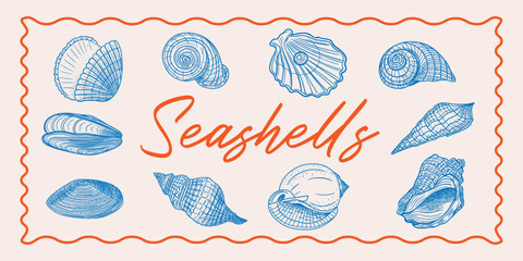 Marine mollusk shells set. Hand-drawn sketch line illustrations, retro, vintage style. Travel, vacation, summer, marine, ocean © Liia Lonn