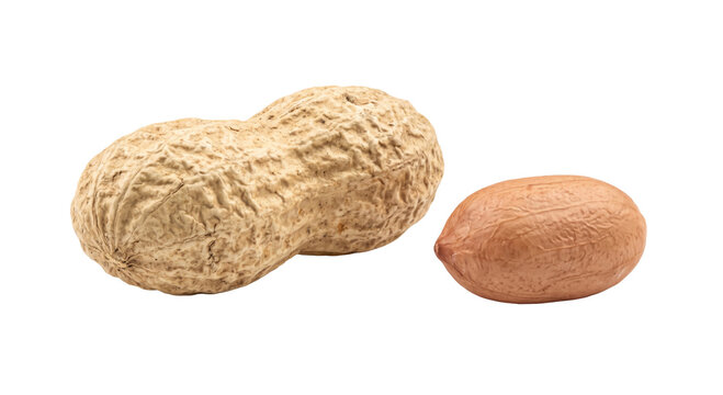 Whole peanut in shell next to a shelled peanut on a white background