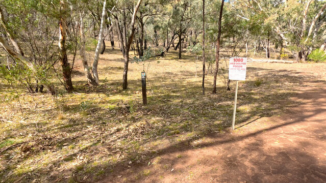 1080 Poison Warning Sign in Sunny Australian Eucalyptus Forest