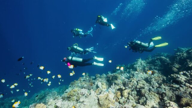 A group of SCUBA Divers descend down a reef into deep dark water	