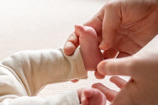 Adult hands gently cradle newborn baby's small foot indoors. Affectionate interaction at daytime.