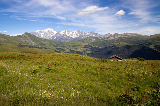 Alpage sous l'oeil du Mont-Blanc
