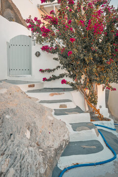 Cycladic white stone stairs leading to a doorway, with a vibrant bougainvillea plant