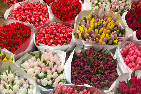 Flower market displays various colored tulips and roses during spring season