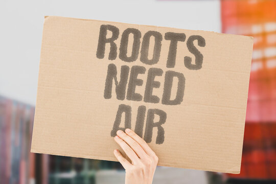"Roots need air" Oxygen availability is critical for root development. OXYGEN. ROOT. DEVELOPMENT. MEDIUM. AERATION.