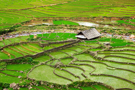 Farm shed in rice field terraces in Near Sapa, Vietnam