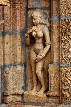 Scene featuring bas reliefes in Hindu temple. Sri Ranganathaswamy Temple. Tiruchirappalli (Trichy), Tamil Nadu, India