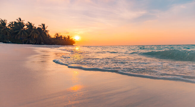 Amazing tropical sea beach serene sky sand sunset light. Relax paradise horizon coco palm trees and calm sea. Romantic vacation seaside beach best coast nature. Gorgeous landscape, stunning sky view