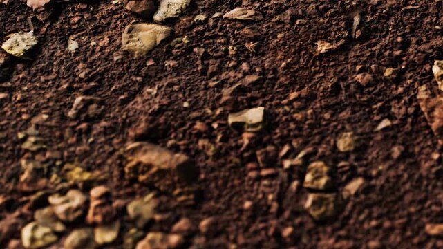 The ground is covered with soil that has various stones scattered throughout. This scene shows earthy textures and colors at a location where construction may occur.